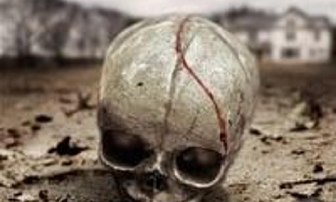 header image for Fertile Ground