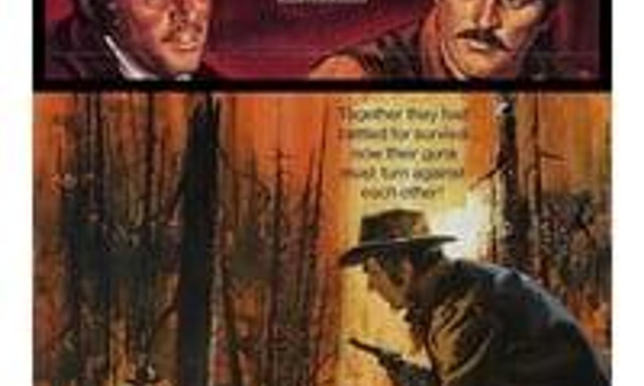 header image for Showdown