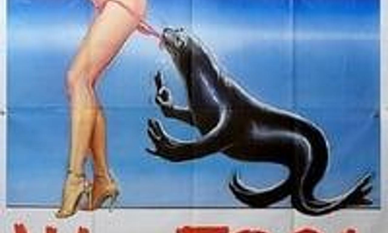 header image for Long Live the Seal