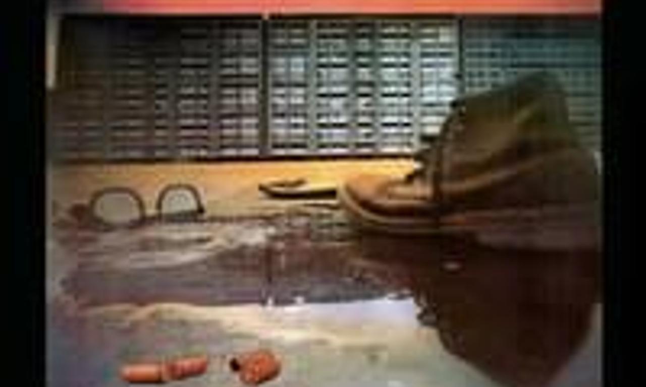 header image for Red Dawn