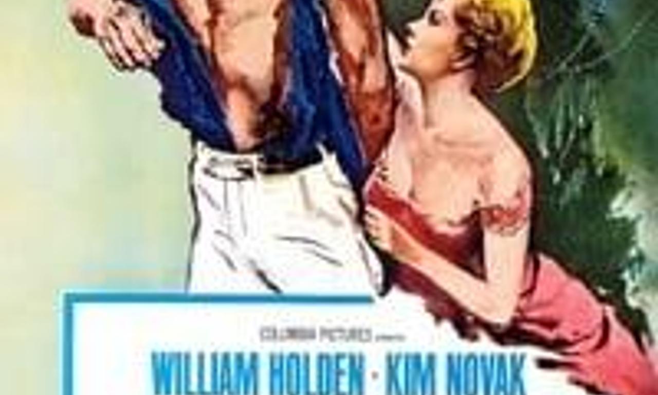 header image for Picnic