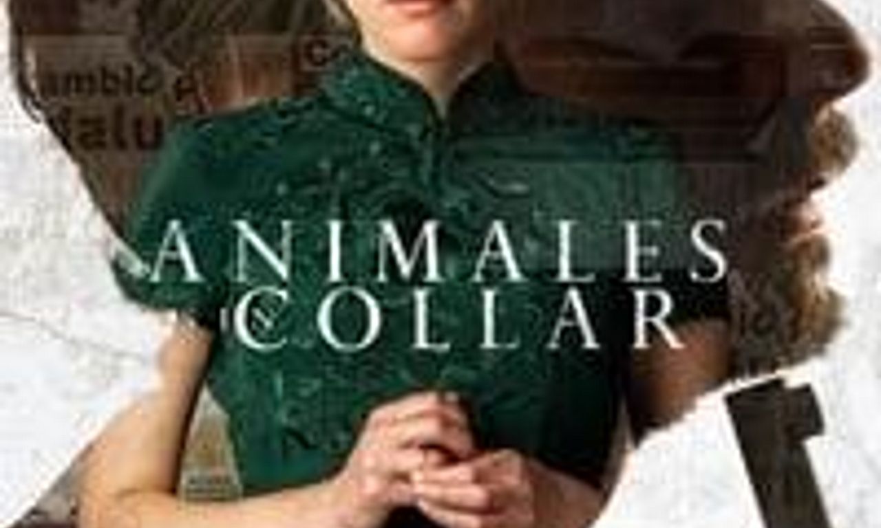 header image for Unbridled