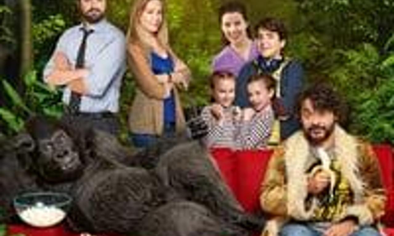 header image for Beware the Gorilla