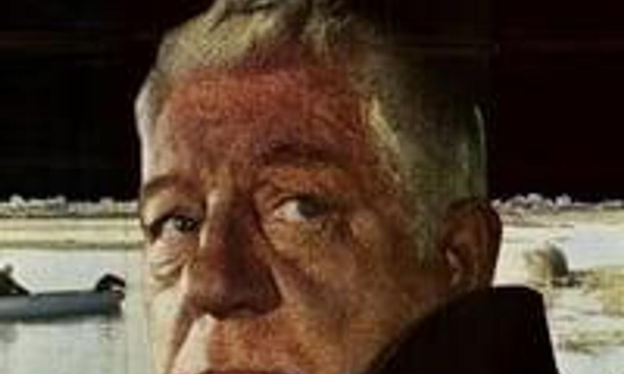 header image for The Horse