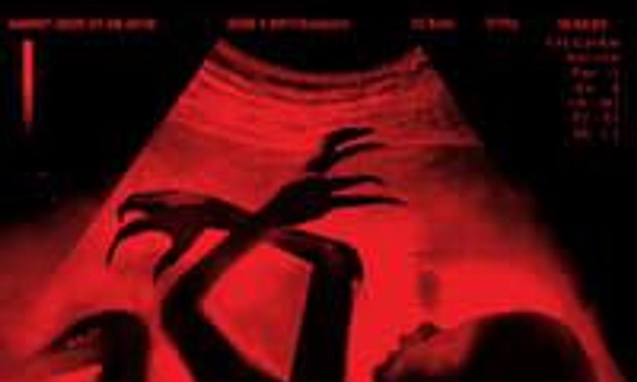 header image for Pro-Life