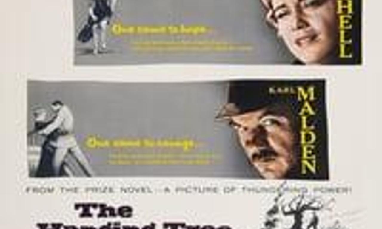 header image for The Hanging Tree