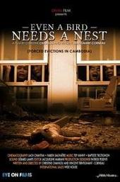 Even a Bird Needs a Nest