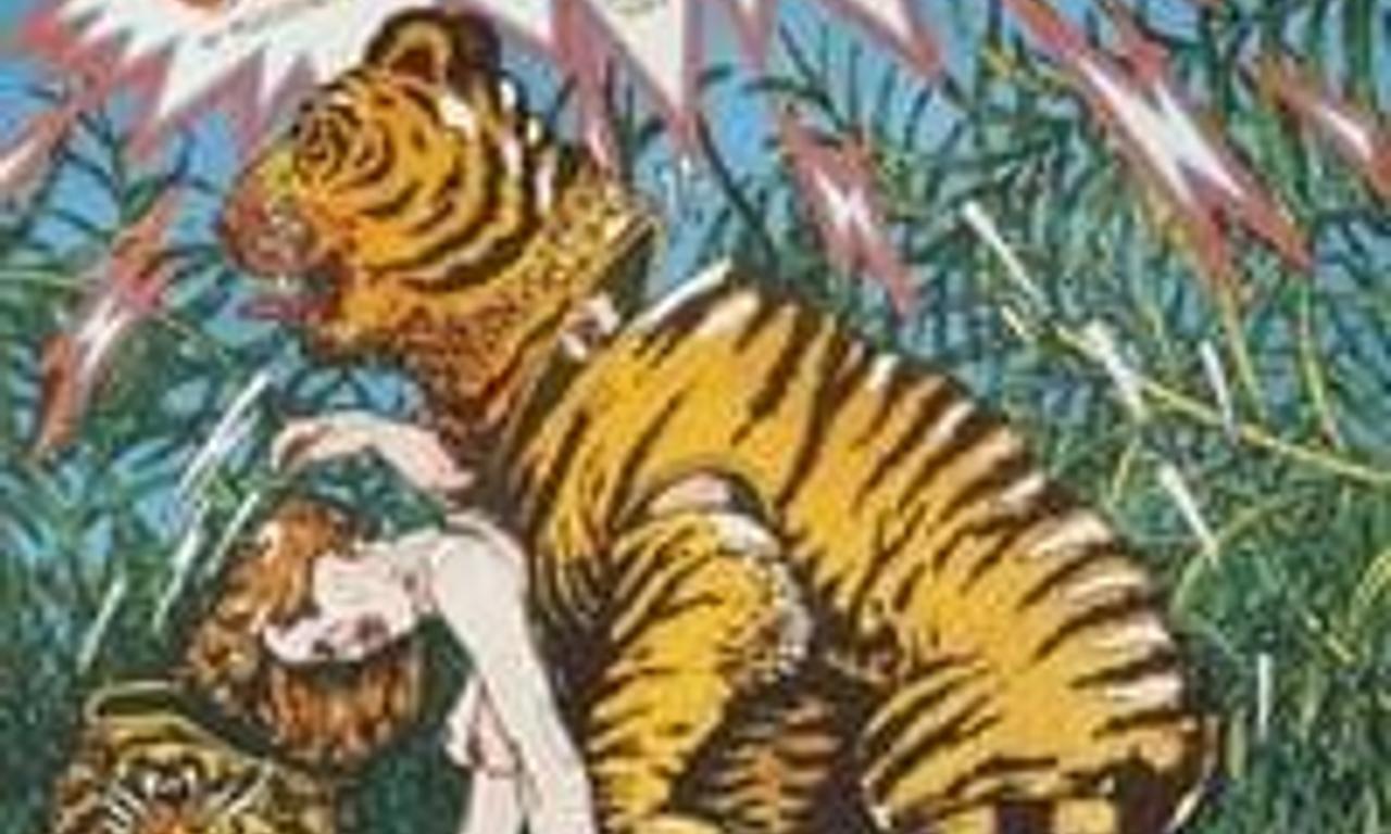 header image for Co Lubią Tygrysy