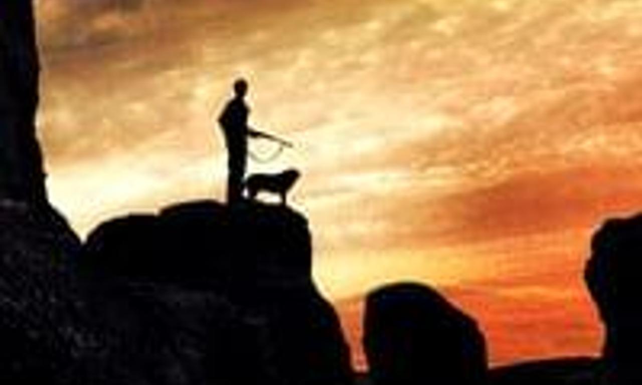 header image for The King of the Hill