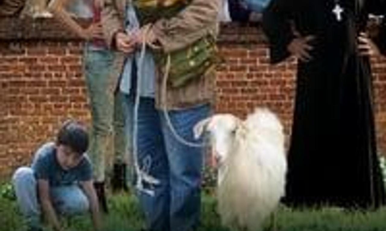 header image for Out of the Woods