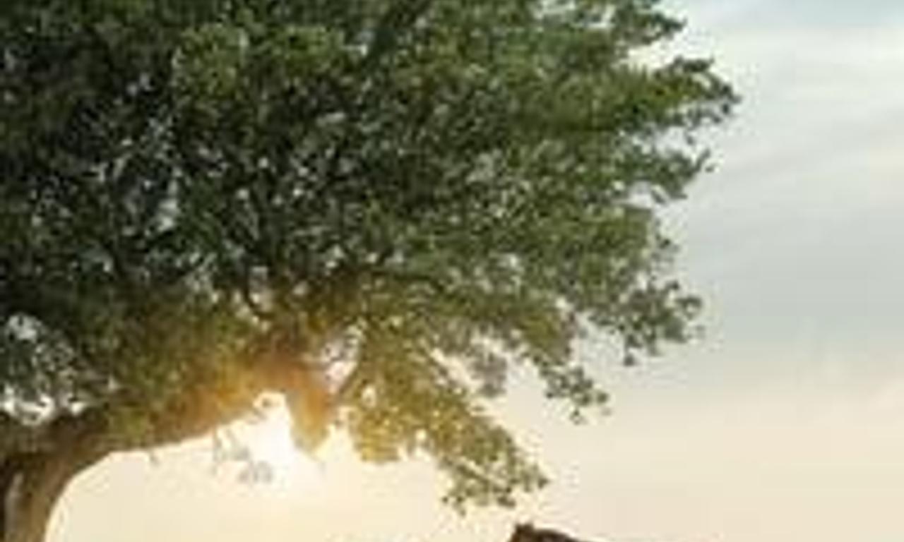 header image for Windstorm 4