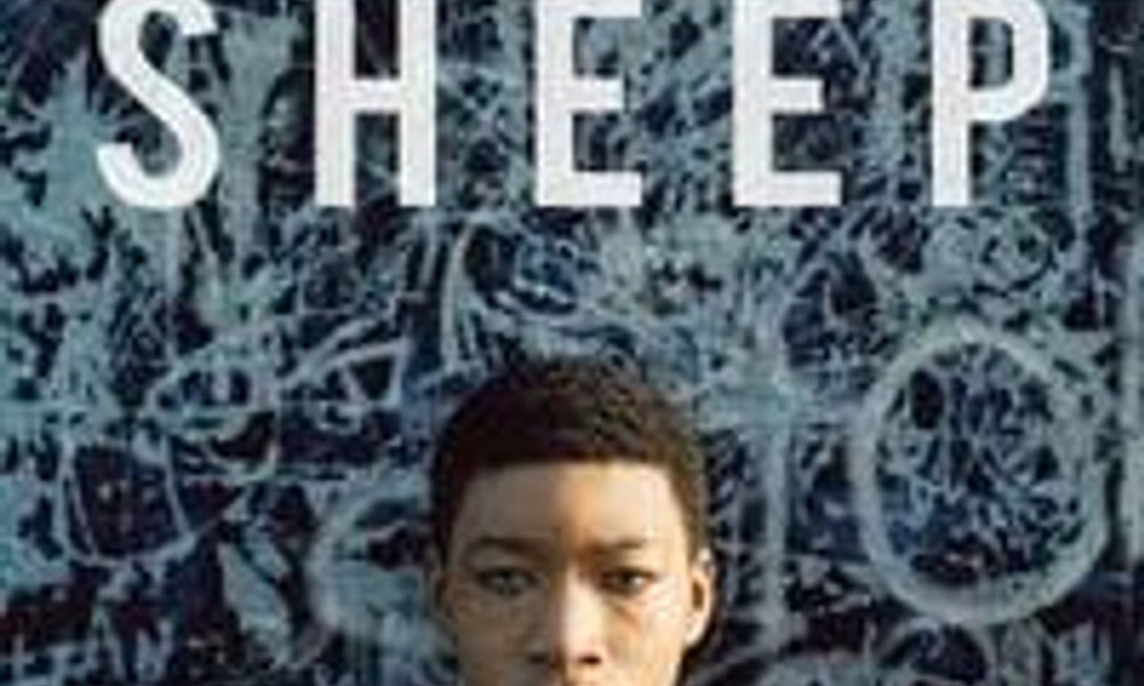 header image for Black Sheep