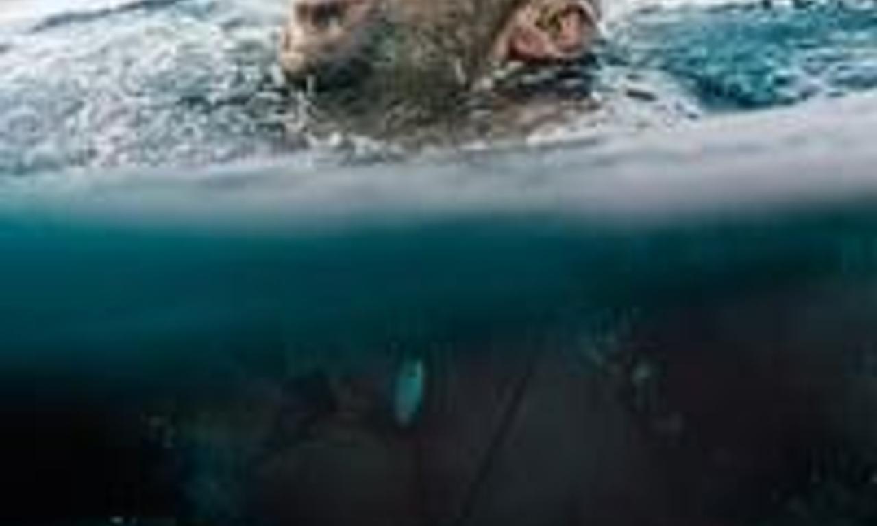 header image for Solo