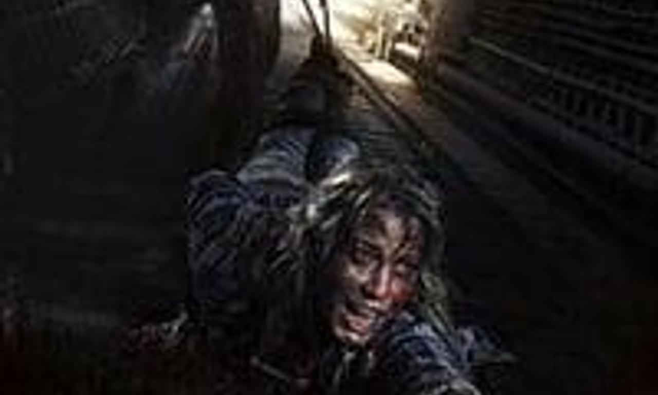 header image for Diggers