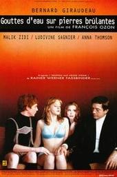 Water Drops on Burning Rocks