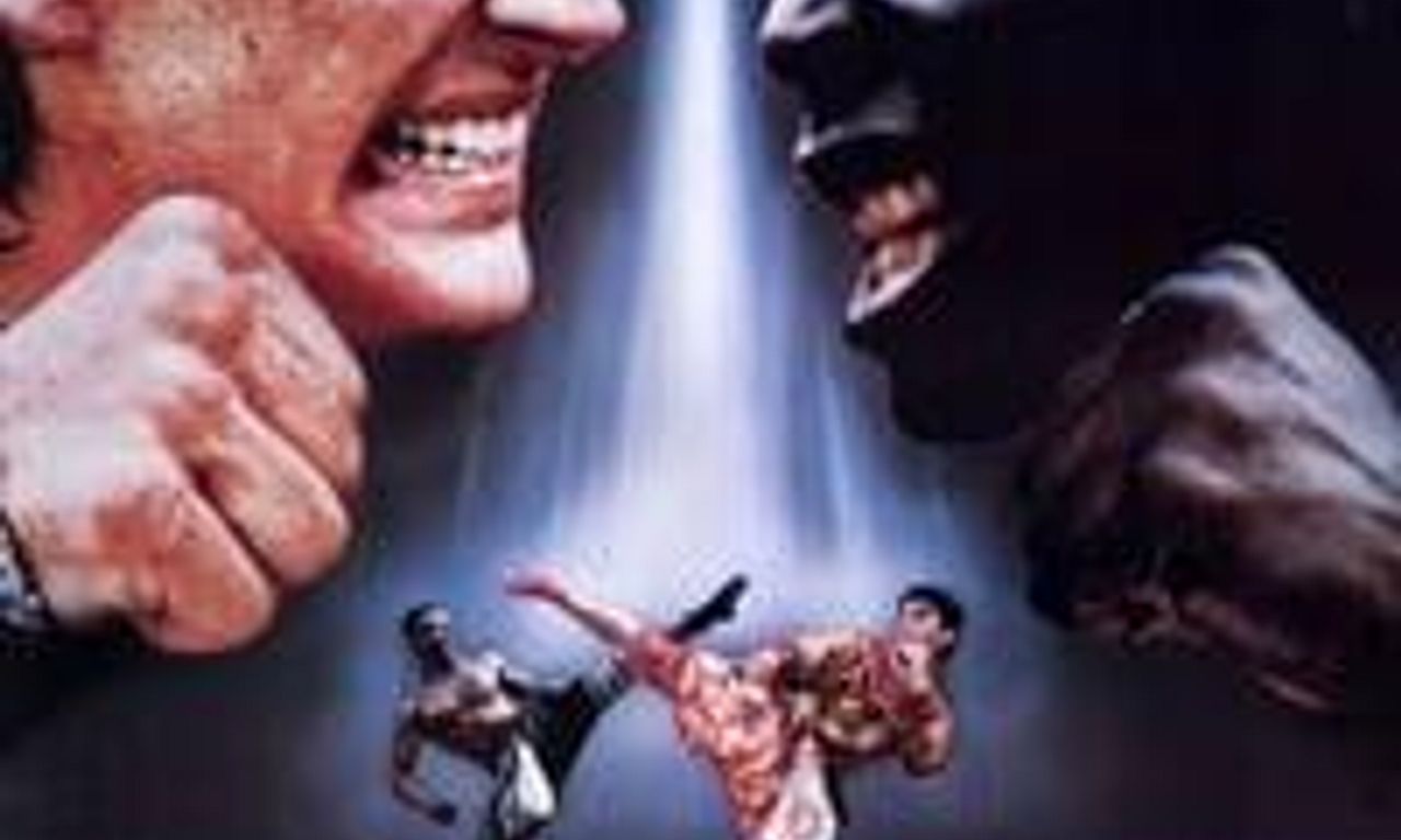 header image for The King of the Kickboxers