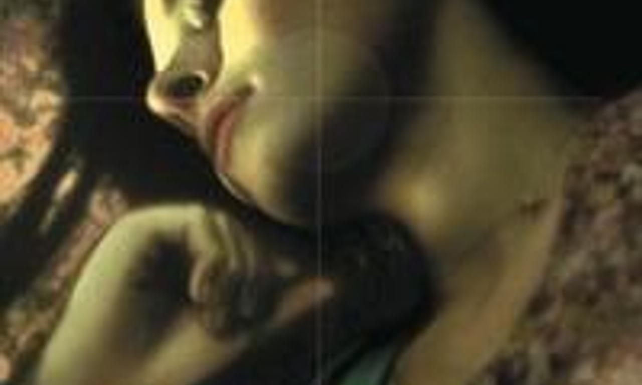 header image for Felicia's Journey