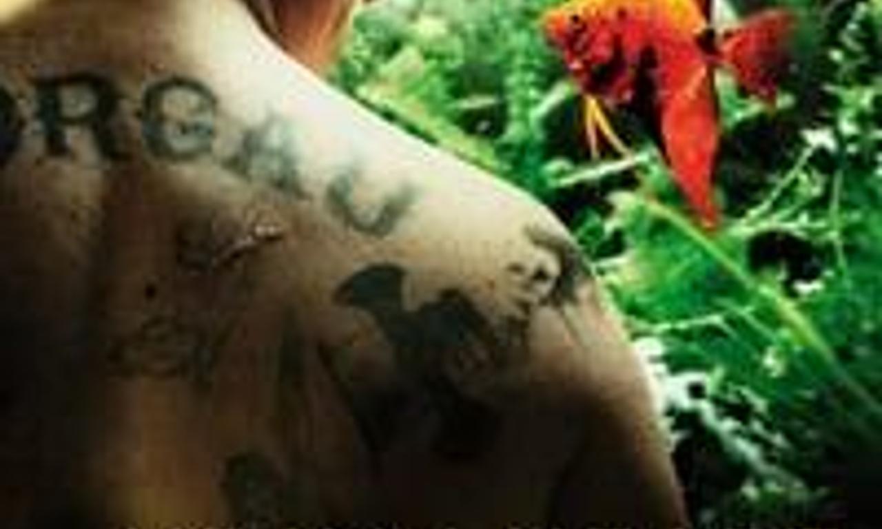 header image for A Heavy Heart