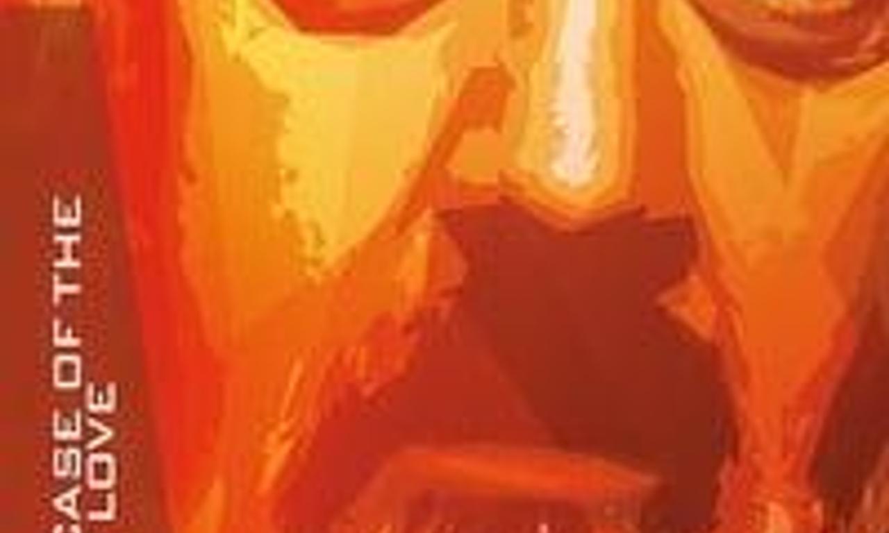 header image for Perry Mason: The Case of the Lost Love