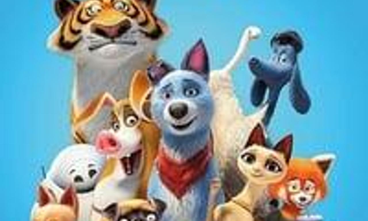 header image for Pets United