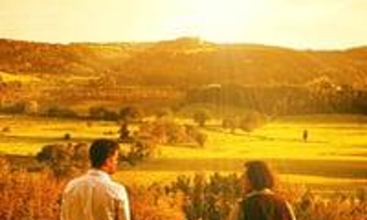 header image for Shadows in the Sun