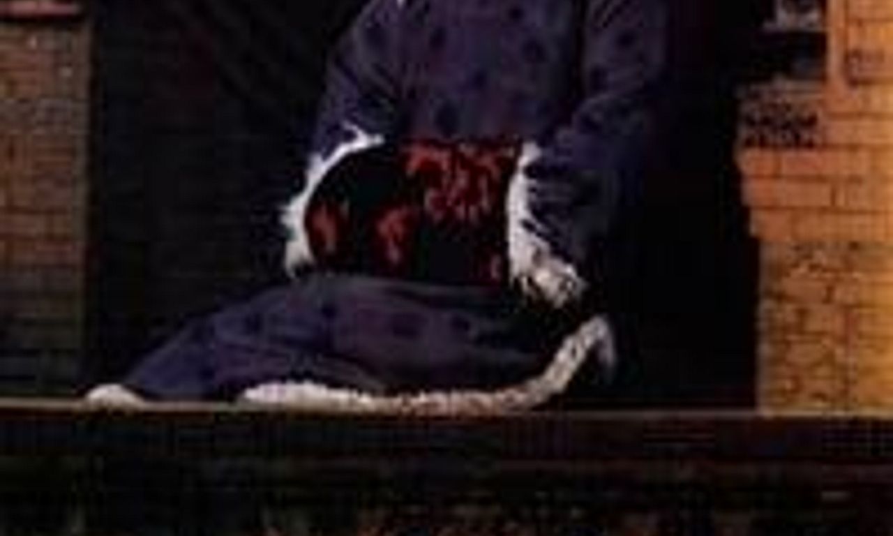 header image for Raise the Red Lantern