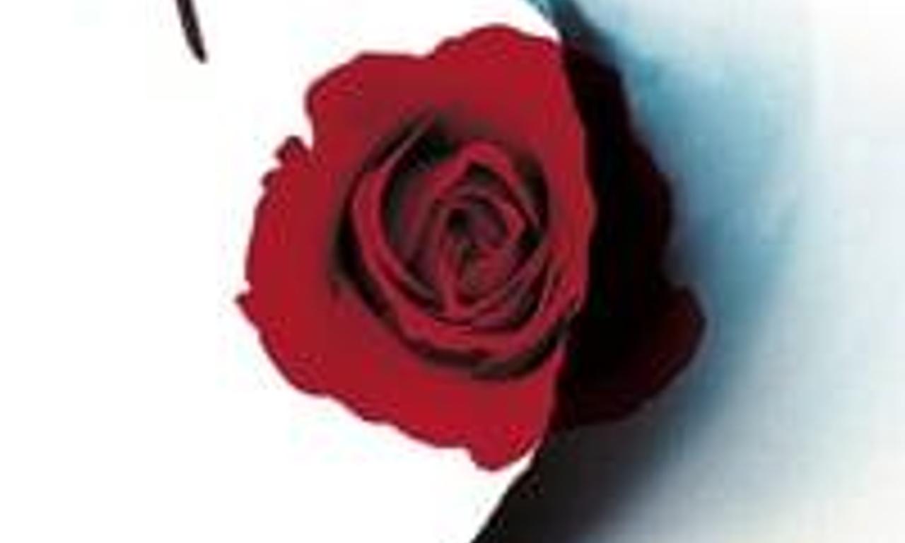 header image for Harrison's Flowers