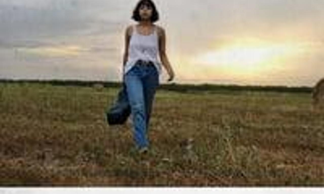 header image for Yellow Rose