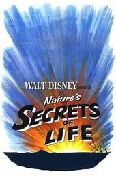 Secrets Of Life