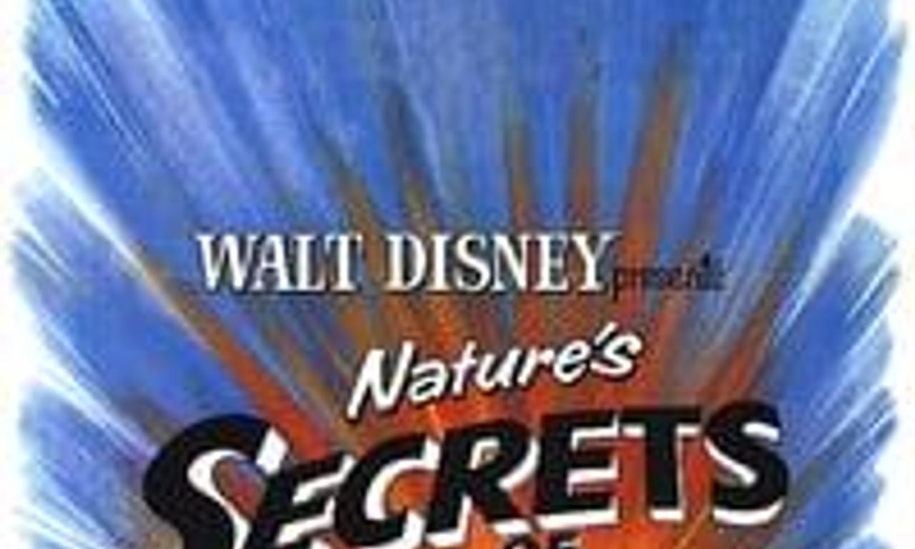 header image for Secrets Of Life