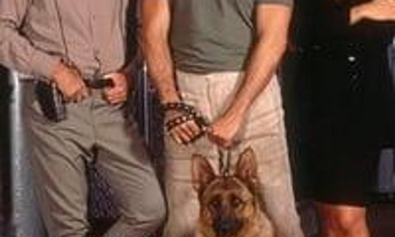 header image for Dogboys