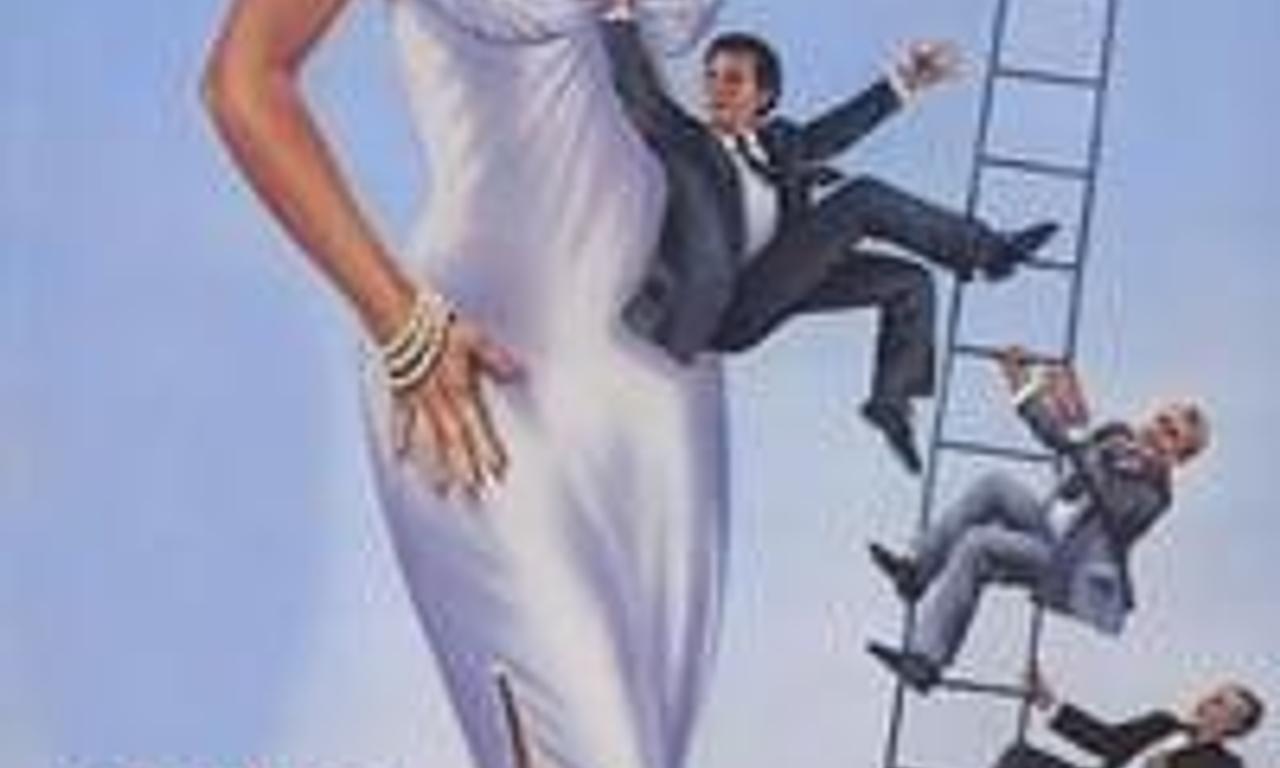 header image for The Boss' Wife