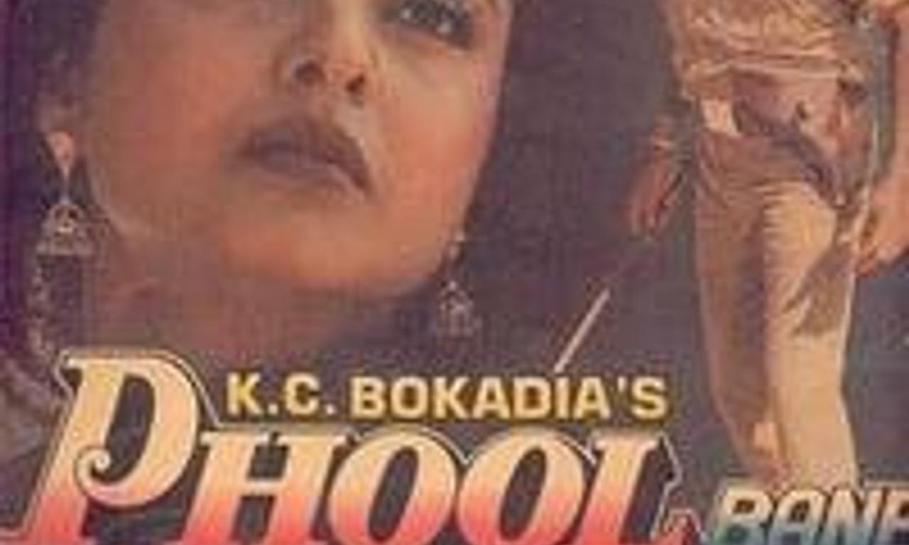 Phool Bane Angaray  Where to Watch and Stream Online – Entertainment.ie