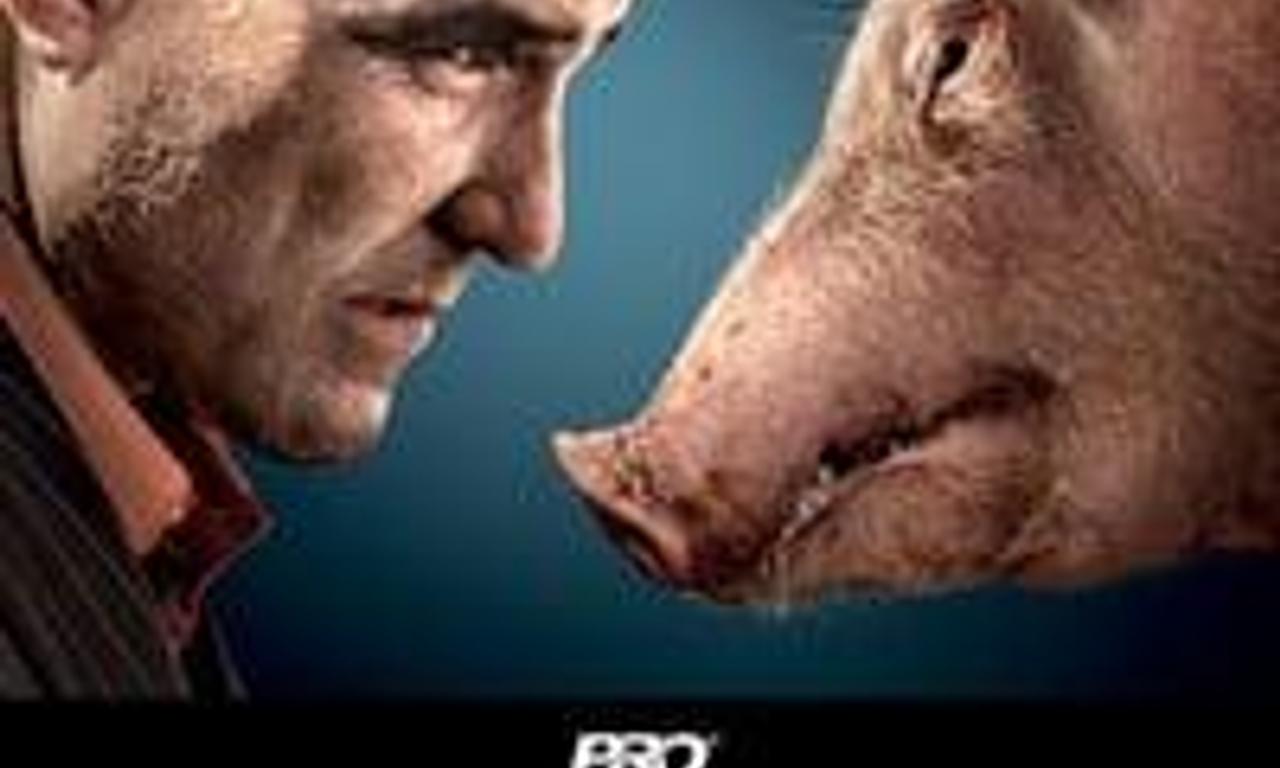 header image for Redirected