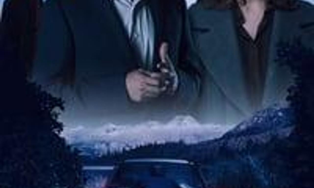 header image for The Invisible Witness