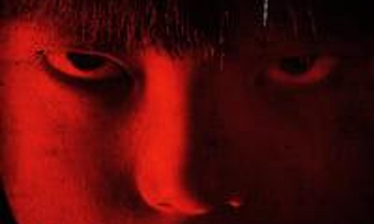 header image for The Complex