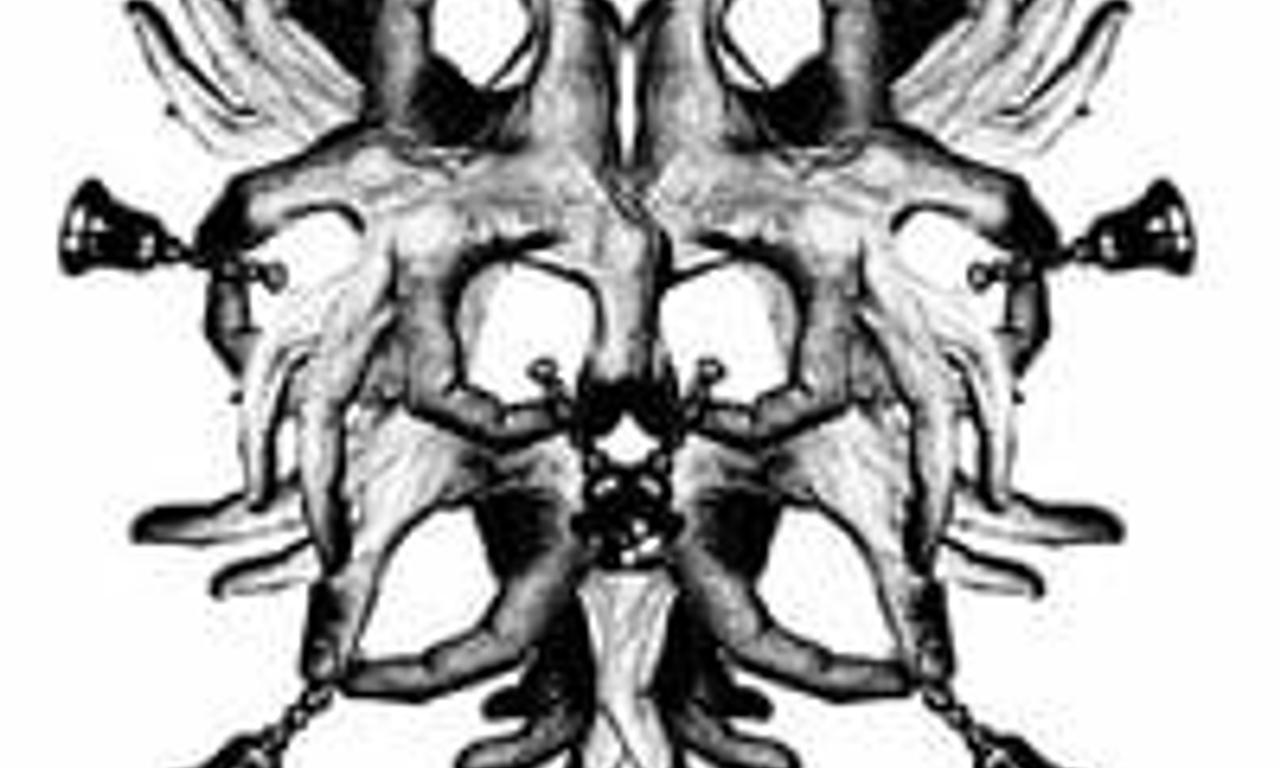 header image for Amigo