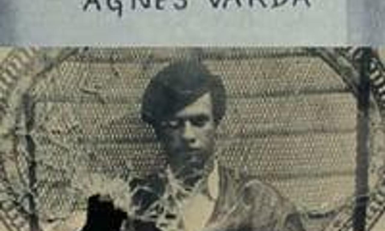 header image for Black Panthers