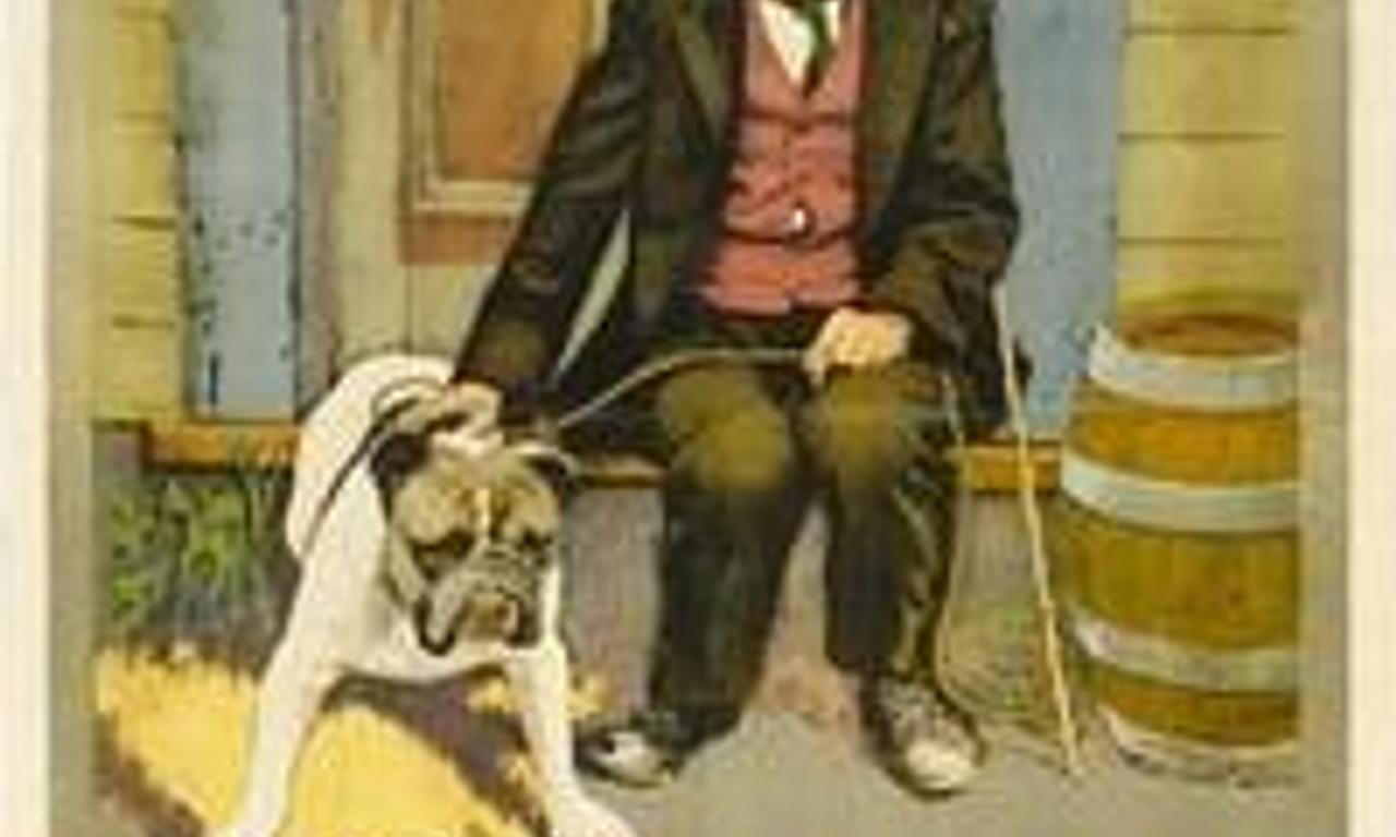 header image for The Champion