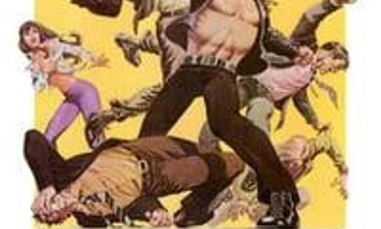 header image for The Street Fighter