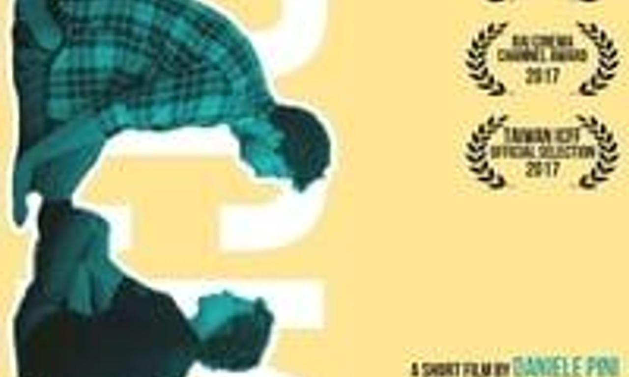 header image for Rocky