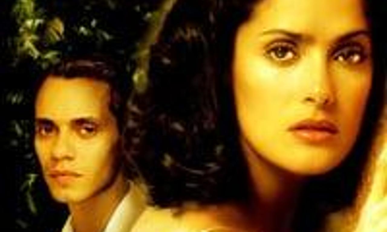 header image for In the Time of the Butterflies