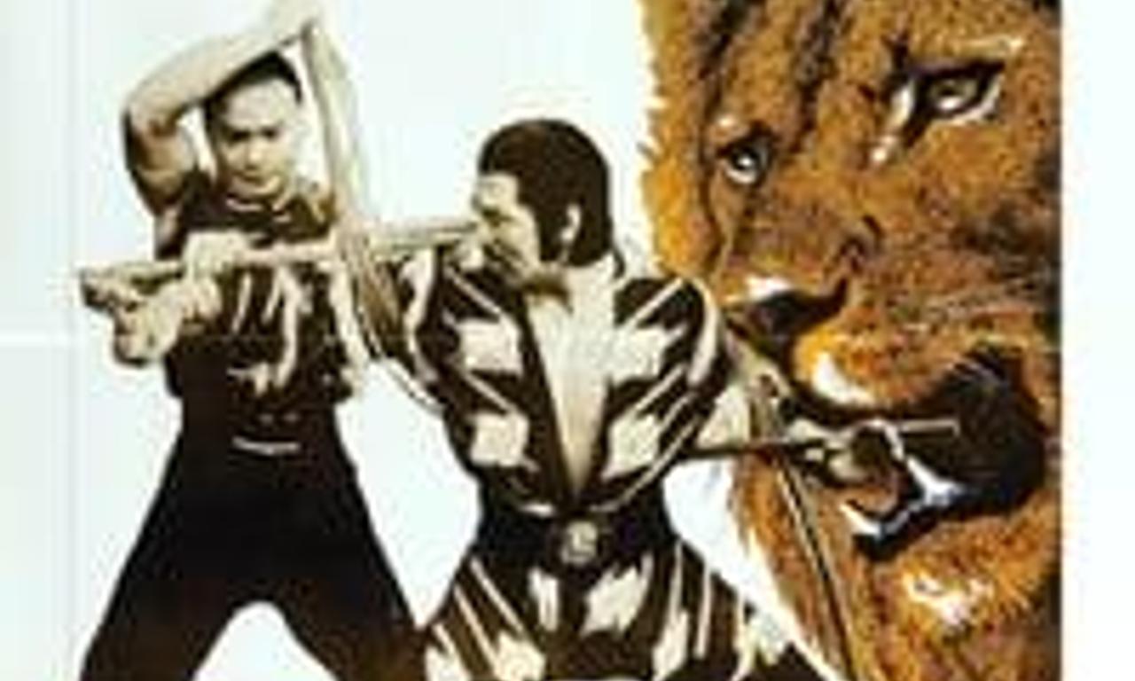 header image for Lion vs. Lion