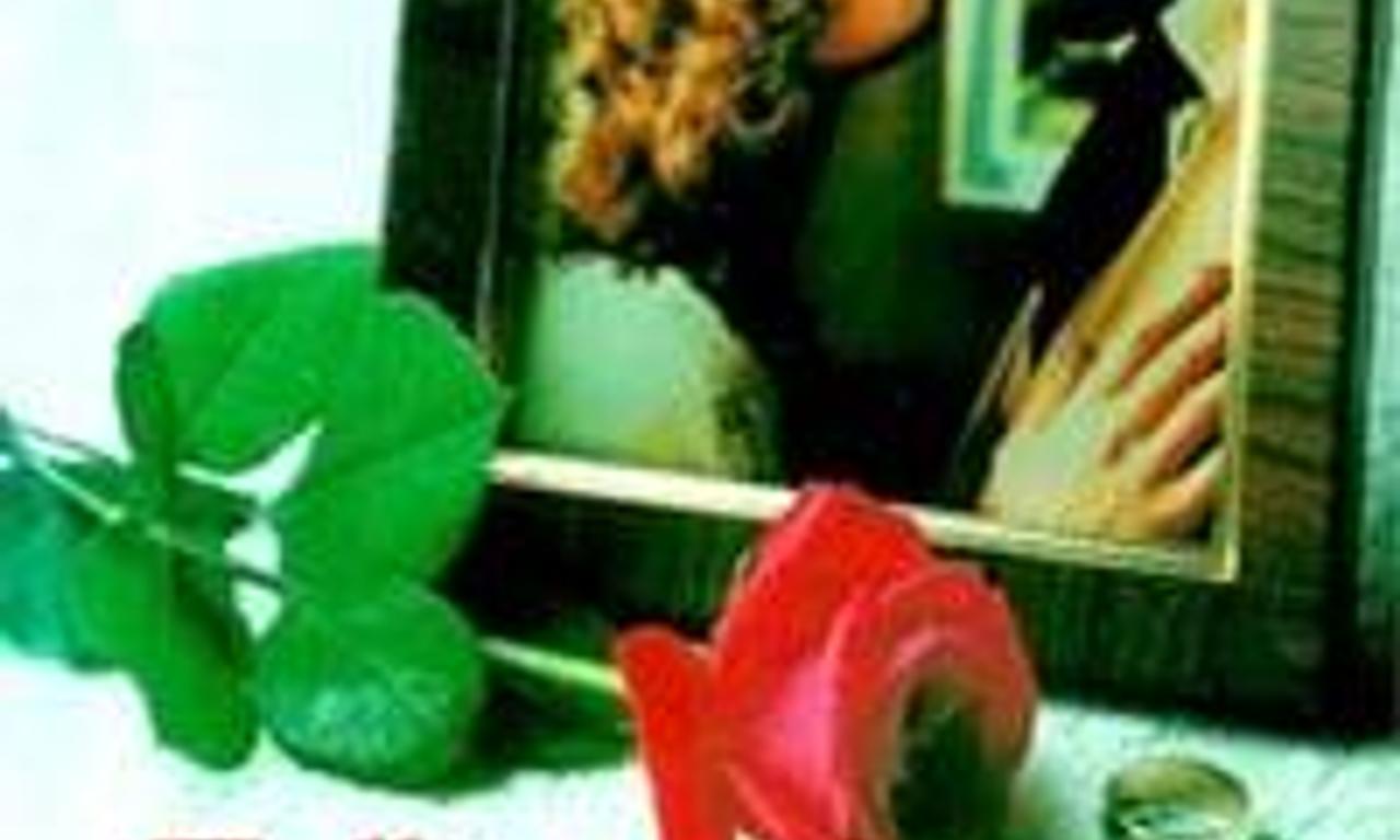 header image for Falling in Love Again