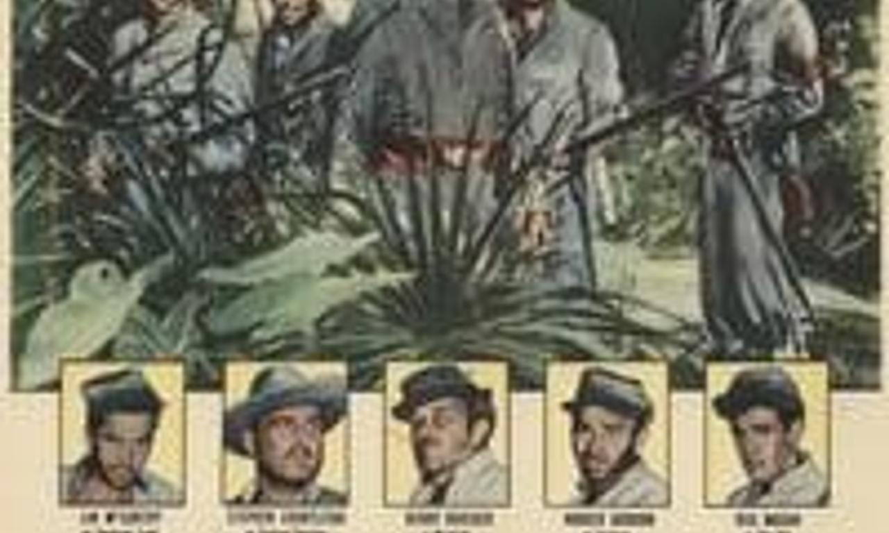 header image for Yellowneck