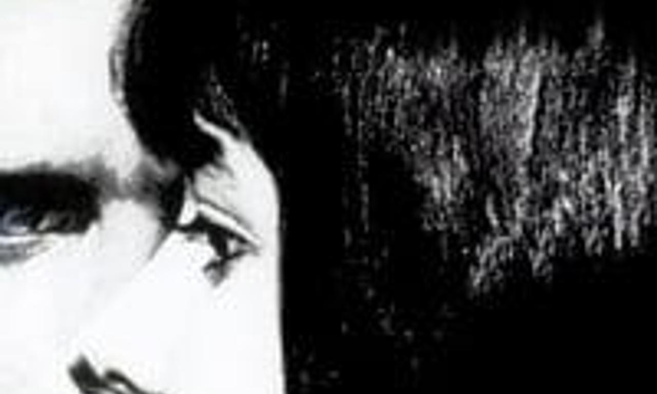 header image for David and Lisa