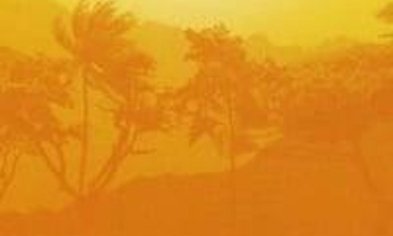 header image for Boniface's Holiday