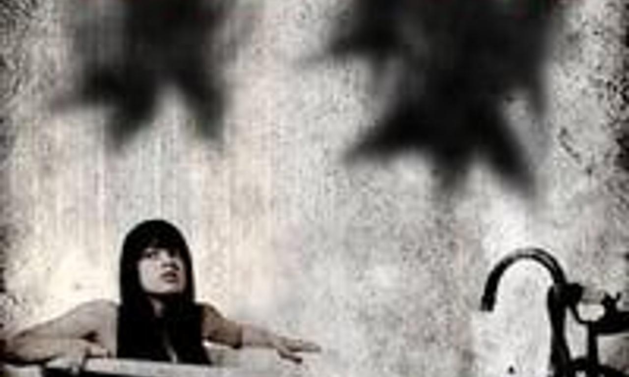 header image for Within These Walls