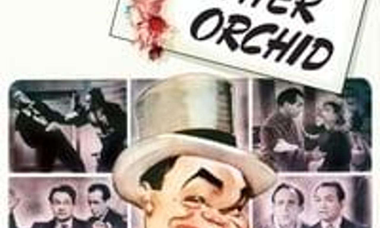 header image for Brother Orchid