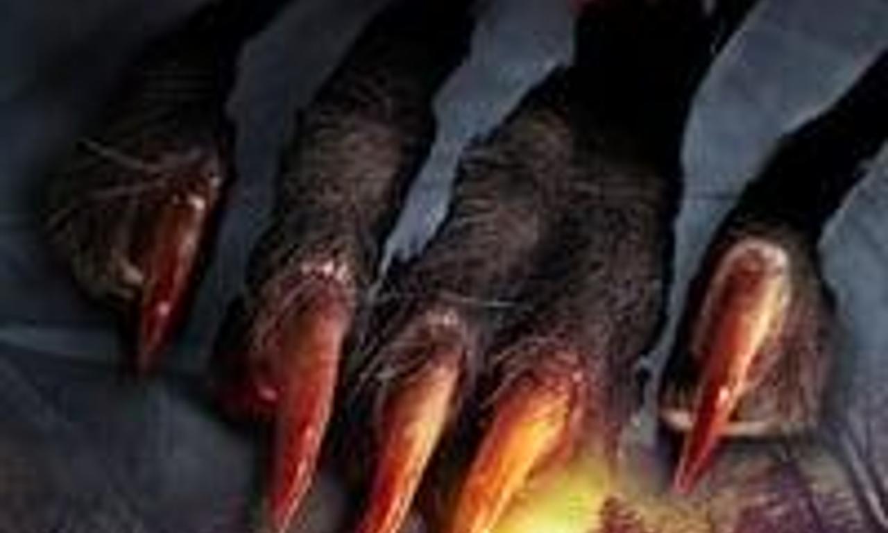 header image for Clawed